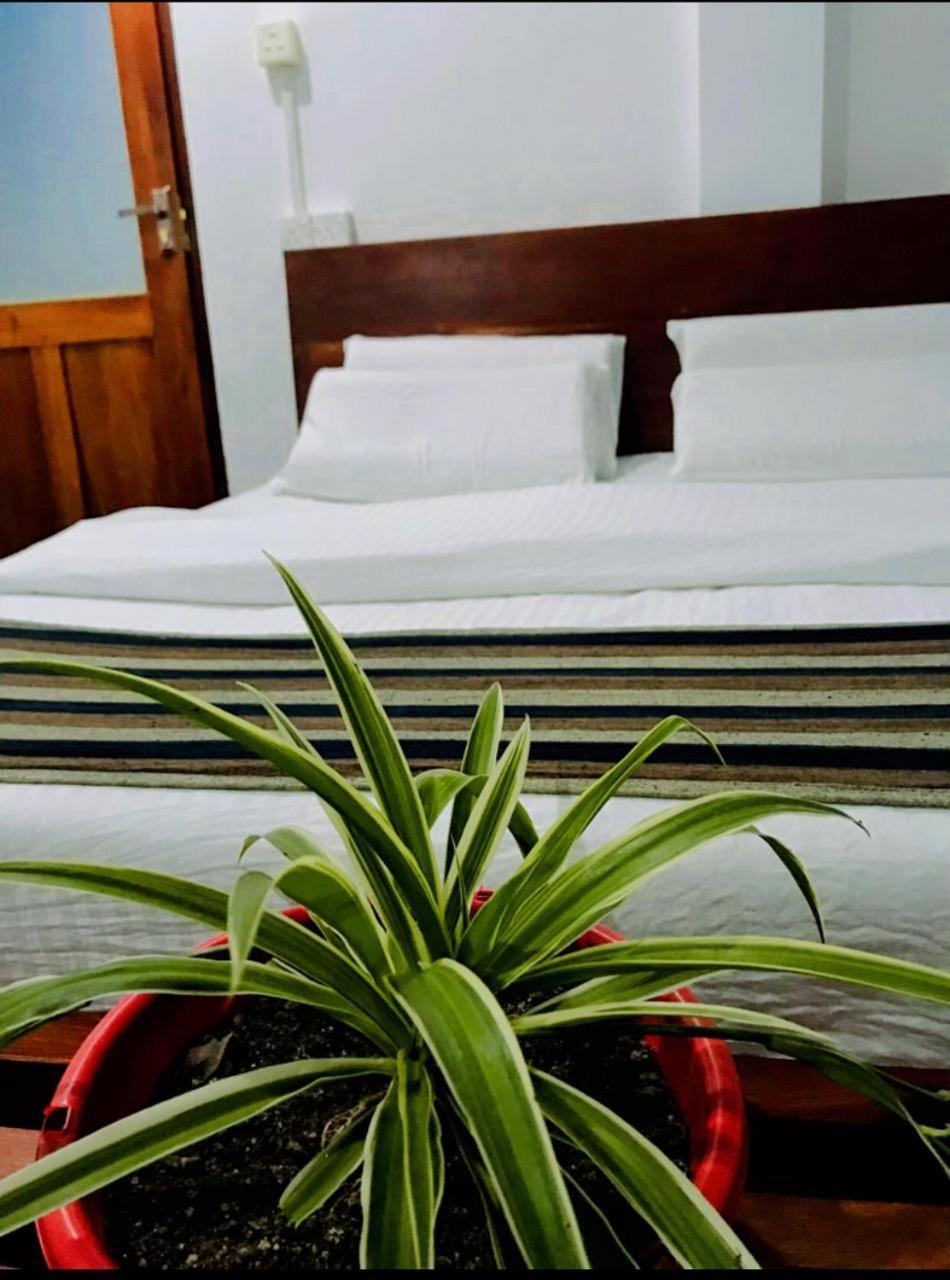 Minthu Homestay เอลลา ภายนอก รูปภาพ